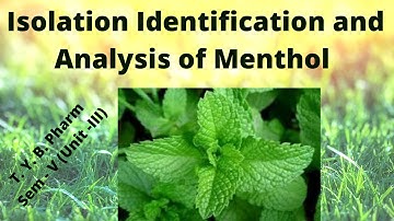 Isolation Identification and Analysis of Menthol/ Mentha oil (Pharmacognosy)