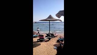 Rehana Sharm Resort 4* beach(Пляж Рехана 4* Шарм эль Шейх #YouTubeRewind., 2016-10-21T10:35:32.000Z)