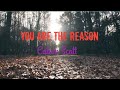 You Are The Reason-Calum Scott(Lyrics)