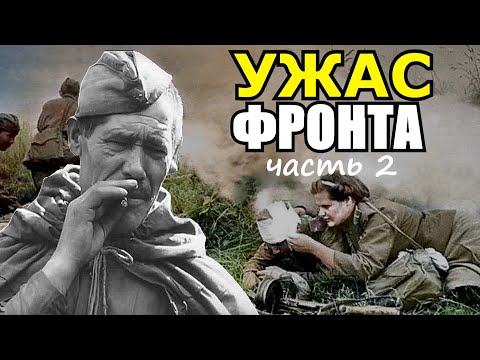 Ужас Ленинградского фронта. Бои в Погостье. Как такое можно пережить?! Воспоминания о войне Часть 2