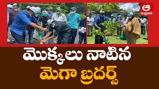 మొక్కలు నాటిన మెగా బ్రదర్స్ | ChiranJeevi & PawanKalyan accepted Green India Challenge | Andhravani