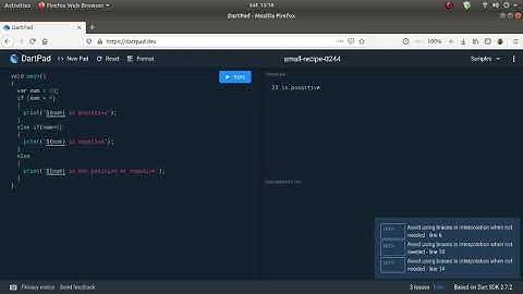 Dart language: Positive number or negative!