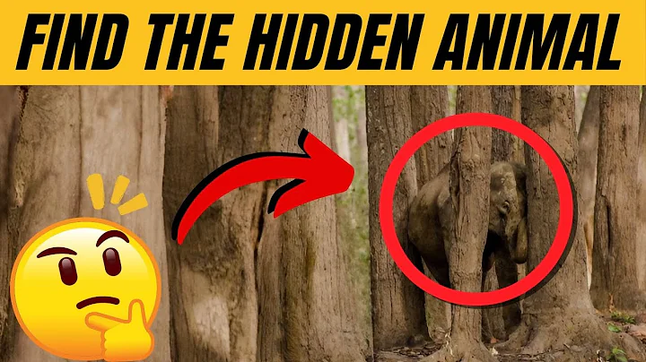 Find the Hidden Animals # 5