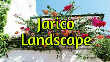Jarico - Landscape || New Video Song 2019 ||