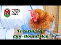 Egg Bound Hens - Diagnosis, Treatment and Prevention