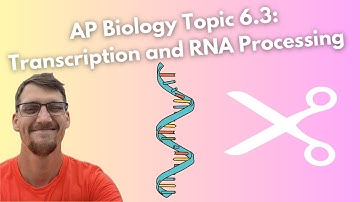 (2019 curriculum) 6.3 Transcription and RNA Processing - AP Biology