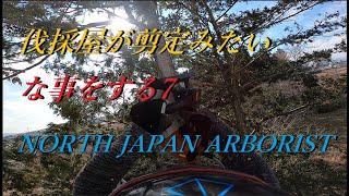 786. 伐採屋がやる剪定7 - YouTube