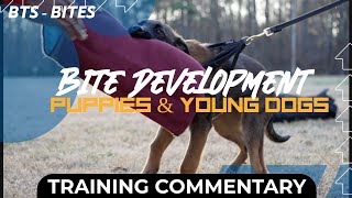 BTS Bites - Young Dog Bite Development by Miles Narnor