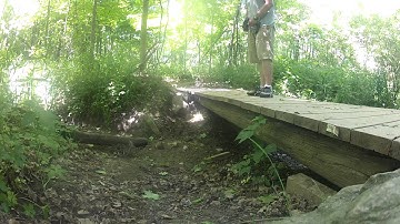 First video of my axial wraith