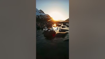 واتس اب قران كريم القارئ ياسر دوسري (سوره القيامة)
