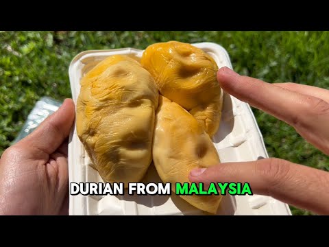 Tasting 6 Rare Durians: Unbelievable Flavors from Penang, Malaysia – You Have to Try This!