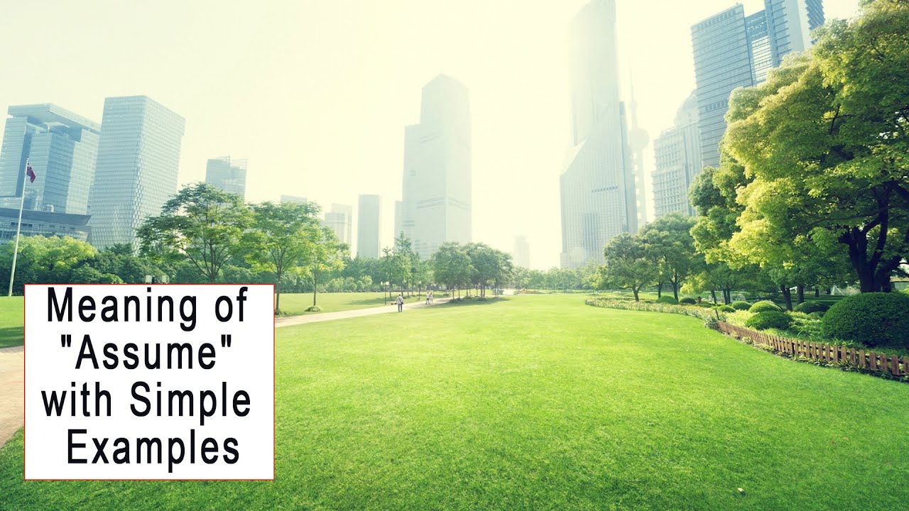 Assume – Meaning, Examples & Easy Explanation in English