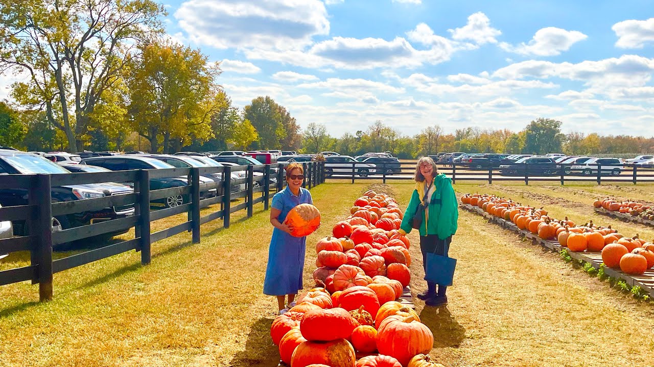 Pumpkin Patch in KENTUCKY...October 7, 2022 YouTube