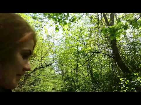 ფიჩორის ერთ ერთი ულამაზესი კანალი