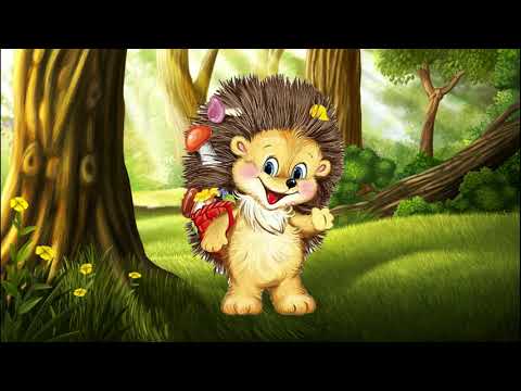 Маленький ёжик