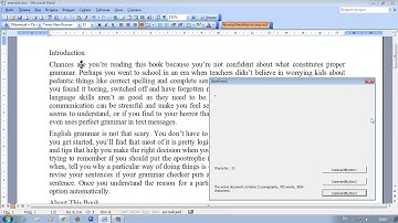 VBA in MS Office 2003. Paragraphs, words and characters.