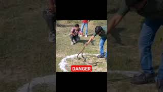 Cobra snake 🐍 in salt circle/ 💯#experiment #dangerous