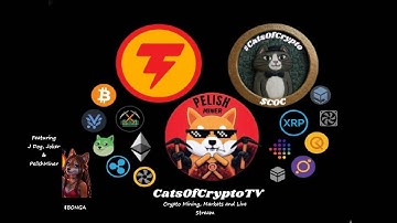 CatsOfCryptoTV Crypto Mining, Markets and Livestream  Episode #4