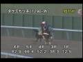 [調教] 081224 タケミカヅチ 「師走ステークス」前追い切り
