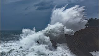 Pacific Storms That Battered California, also Produced Massive Waves in Oregon @ Shore Acres