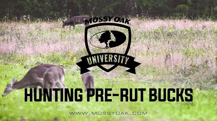 Hunting Pre Rut Bucks | Stand Locations For Mature Whitetails