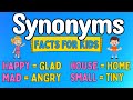 Understanding Synonyms