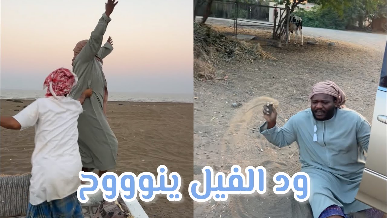 ود الفيل ينووووووح يبى لفلوس🤣🤣🤣