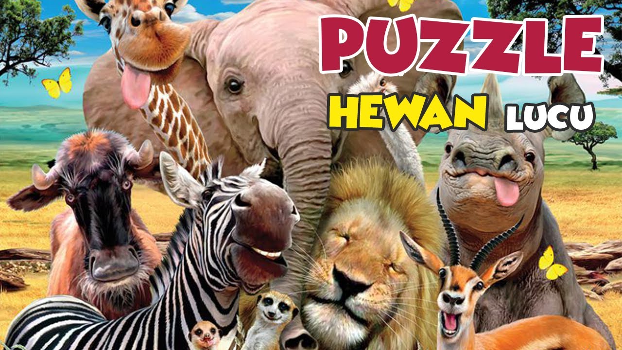  Game  Anak PUZZLE Hewan  lucu  YouTube