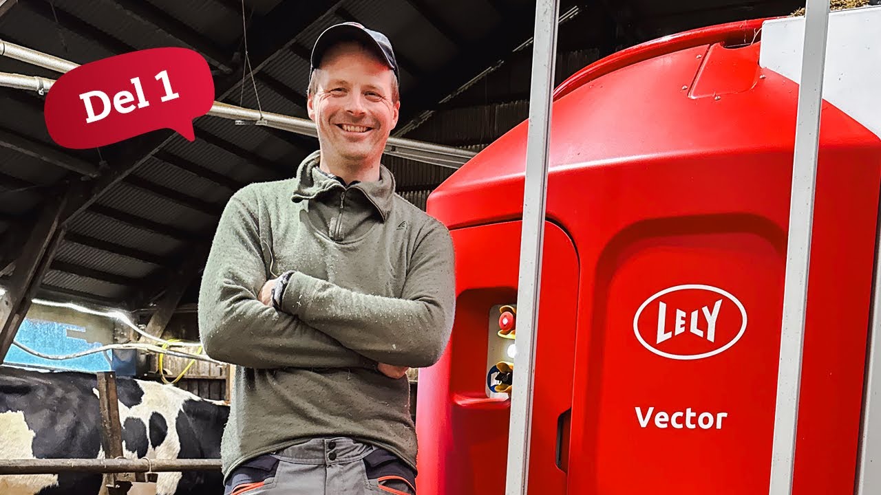 Topp melkeproduksjon 300 meter over havet i bratte Hardanger