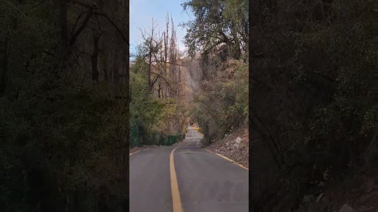 Camino a "Las Melosas".