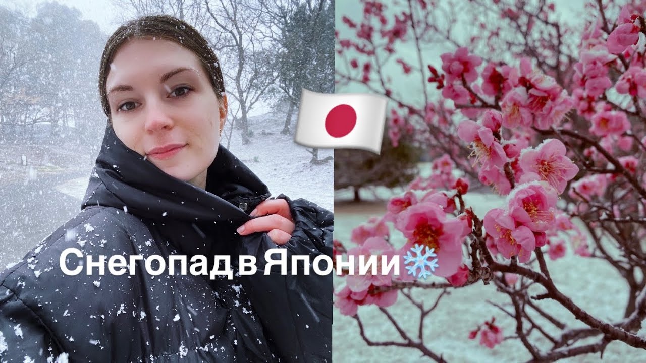 Снегопад впервые за 2 года в Японии !!! 🩵