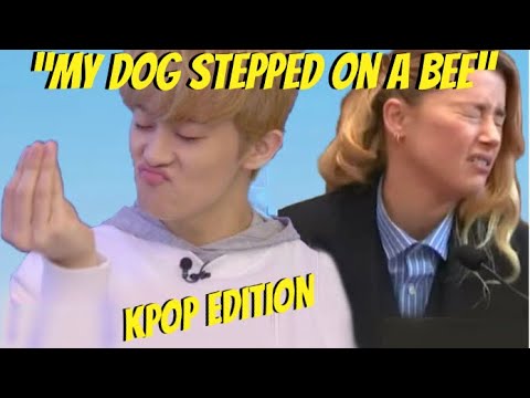 My Dog Stepped on a Bee (KPOP EDITION) Compilation 