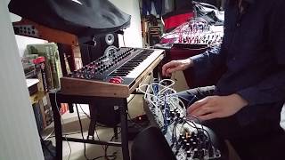 "Wheewhoo" - MakeNoise System Cartesian & 0-Coast, DSI Pro2 Profile