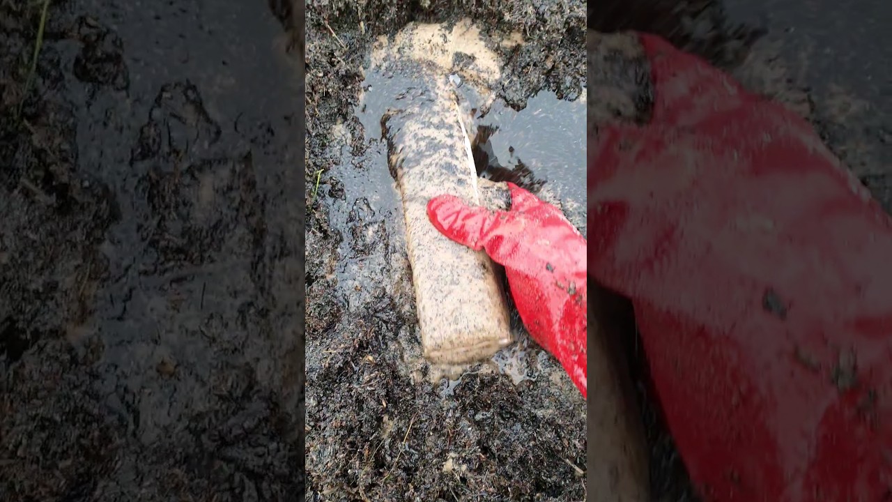 Finally a lucky find