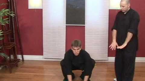 Kung Fu Monkey Jumps