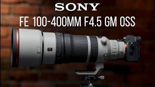 索尼 FE 100-400mm F4.5 GM OSS 深度评测｜用了8年老100-400，我会升级吗？｜画质 防抖 对焦 野生动物摄影全解析