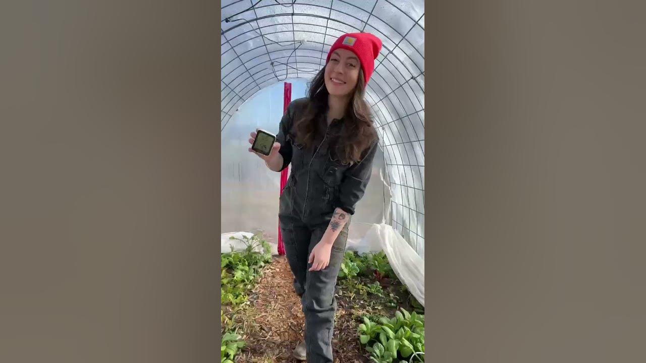 Don't Wait Til Spring To Grow Food - Make This DIY Greenhouse #greenhouses #growyourownfood #garden