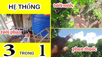 Hệ thống 3 trong 1: tưới nước, tưới phân, phun thuốc vườn bơ ở Lâm Đồng. TÍN DƯƠNG 0932934961