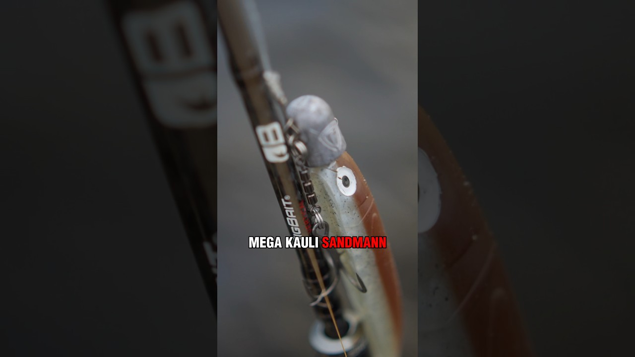 Lust auf Zanderfilet 🐟 mit Kartoffelbrei? 😋 #angeln #zander #bigbait ...