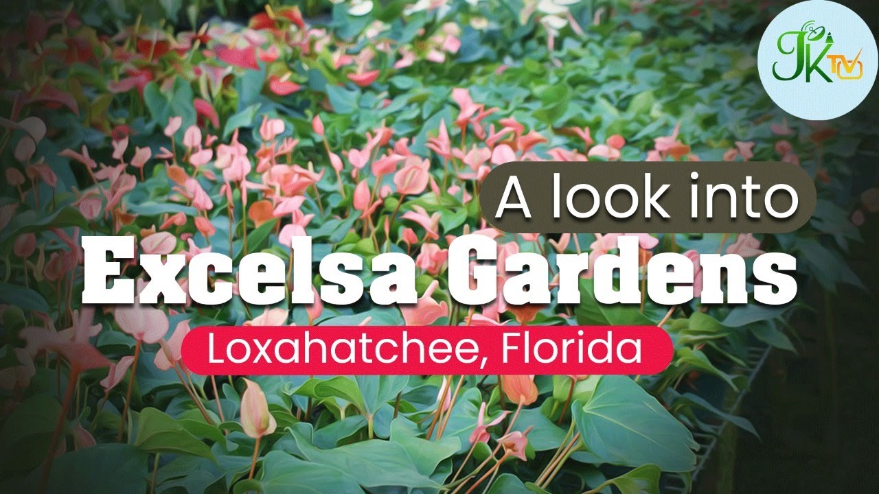 Excelsa Gardens Nursery Plant Nursery in Loxahatchee Groves, Florida