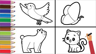 how to draw animal - draw bird - draw butterflies- draw bear - draw cat