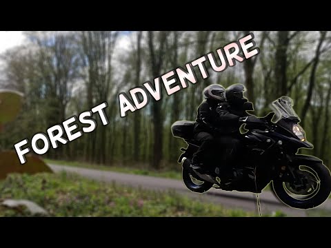 Another Day, Another Adventure by V-Strom 650 XT | Forest Adventure