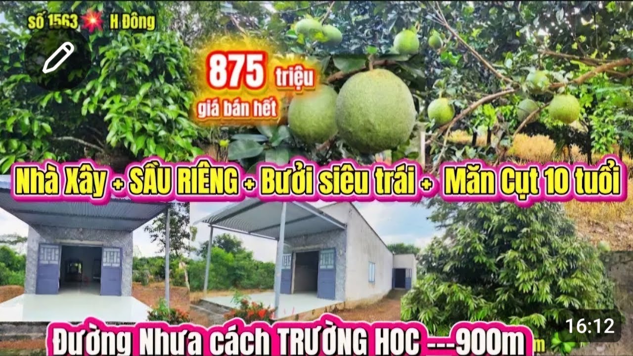 Bán NHÀ vườn  BƠ Sầu Riêng vị trí thuận tiện 25x60=1500m² cln Trục nhựa thông giá 875 triệu 