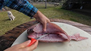 HOW TO fillet, skin & de-bone a SNAPPER!