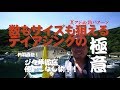【アジング】日中に良型アジが爆釣!