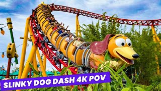 Thrilling Slinky Dog Dash 4K POV Adventure