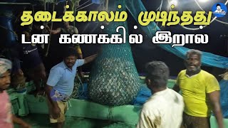 Boats Catching Tons of Prawns after Strike | தடைக்காலம் முடிந்து டன் கணக்கில் இறால் பிடித்த படகுகள்