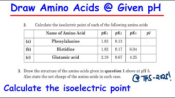 How to Calculate Isoelectric Points for Amino Acids