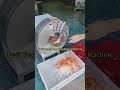 Cutting Machine #viral #food #love #viralvideo #cr7 #leo #machine #hindu #india #usa #russia #uk #to