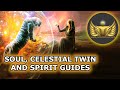 Soul celestial twin and spirit guides portals to the unconscious